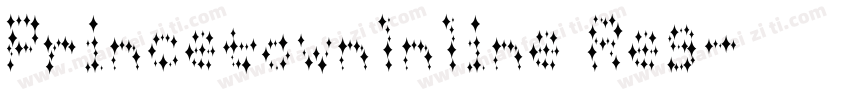 Princetownlnline Reg字体转换